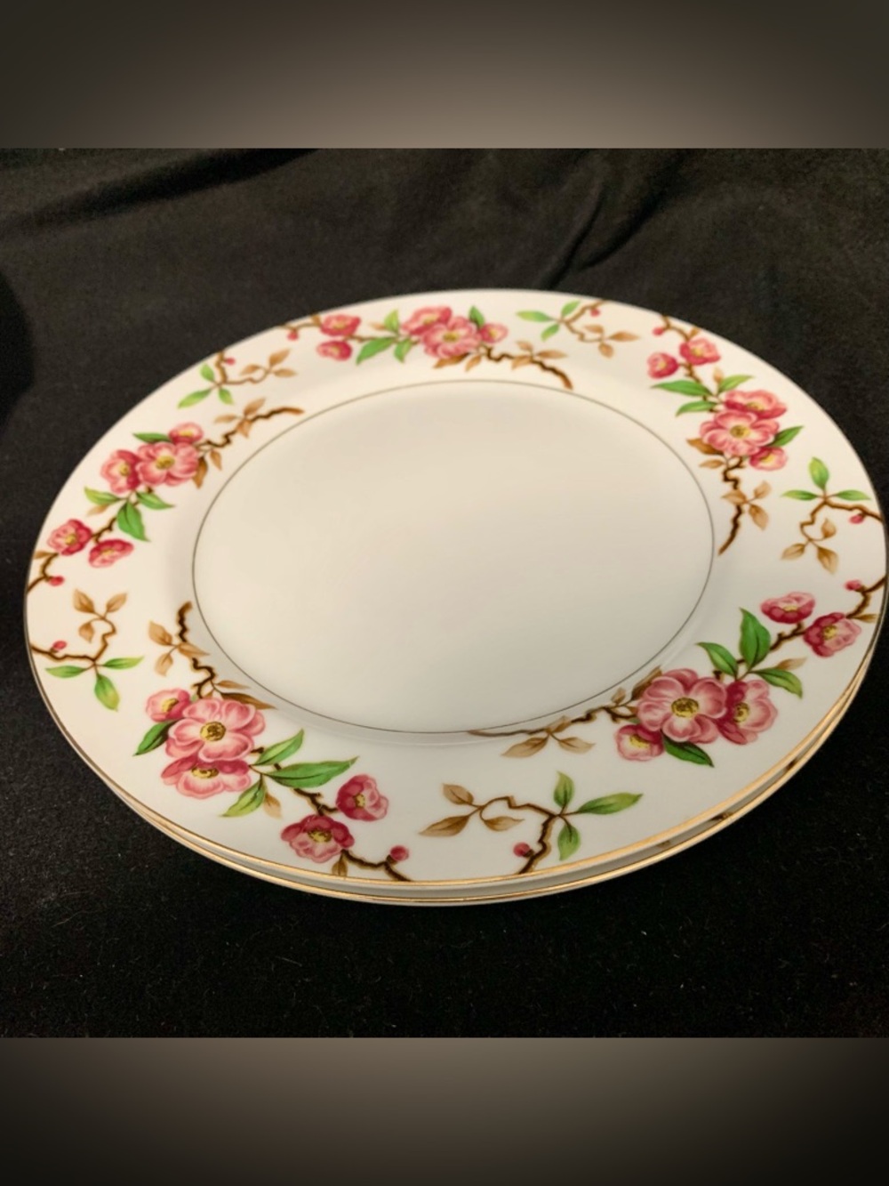 🍒Narumi “Blossomtime” Dinner Plates (2) Piece Sets - Vintage Japan Floral